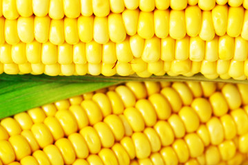 Corn