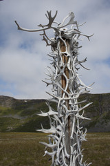 Rentiergehörn Totempfahl