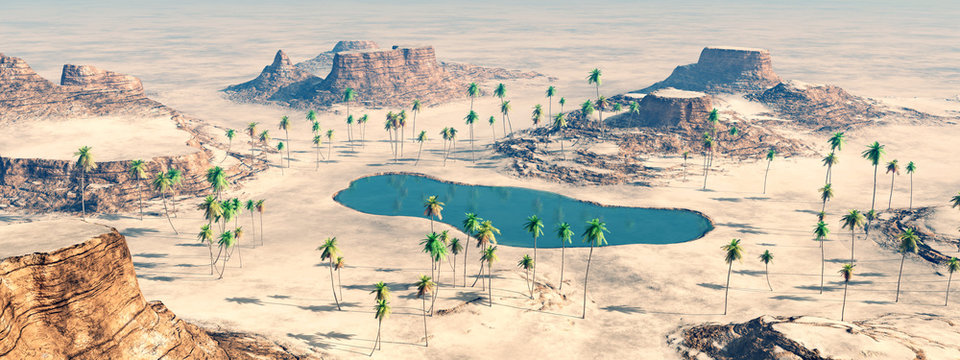 Oasis in the desert