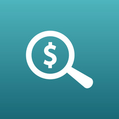 Magnifier with dollar sign money, business sign symbol