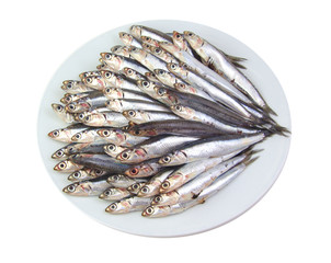 Mediterranean anchovies isolated on a white background