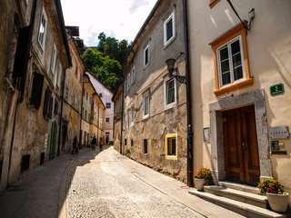 Fototapeta na wymiar Old street of Ljubjlana