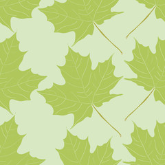 A deciduous background