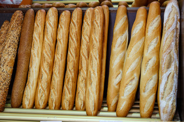 french bread group closeup photograph