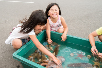 海の生き物に触れる子供達