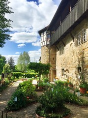 Öhringer Stadtmauer mit Kräutergarten