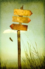 Three blank sign on distant view with flying rapacious