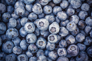 Heap of freshly picked blueberries