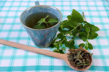 Dried and fresh lemon balm, cup of herbal beverage on tablecloth