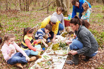 Group Looking For Minibeasts At Activity Centre