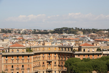 Fototapeta na wymiar Rome,Italy,houses, roof,pine nuts.
