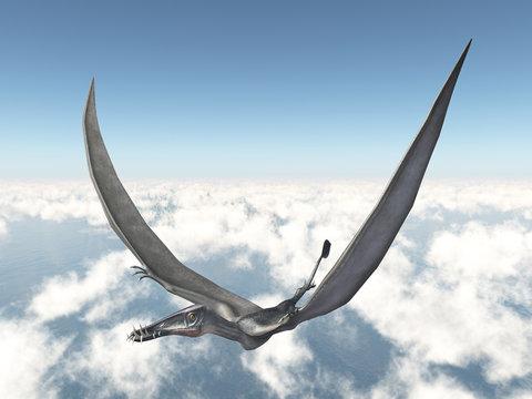 Pterosaur Dorygnathus over the clouds