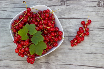 Frische Johannisbeeren in weißer Schale auf Holzuntergrund
