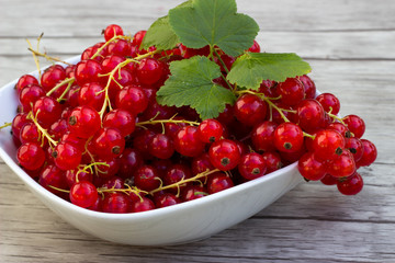 Frische Johannisbeeren in weißer Schale auf Holzuntergrund