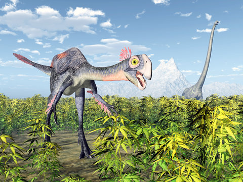 The dinosaurs Gigantoraptor and Mamenchisaurus