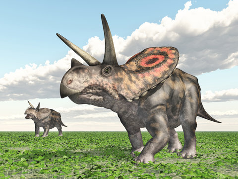 Dinosaur Torosaurus