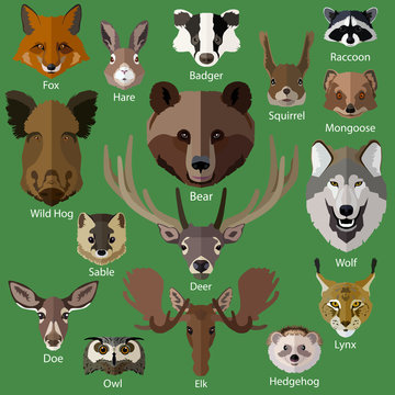 Set of forest animals faces isolated icons. 