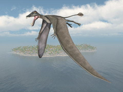 Pterosaur Dorygnathus