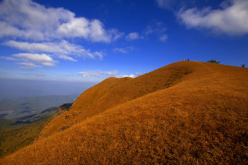 Majestic sunset in the mountains landscape. Dramatic sky