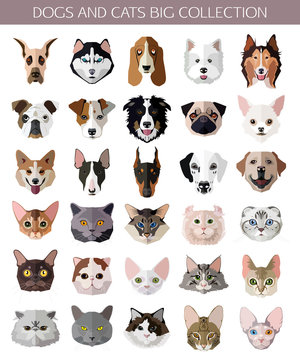 Set of flat popular Breeds of Cats and Dogs icons. 