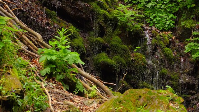 4k,
Waterfall in the mountains near the village Pylypets, Carpathians