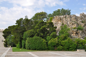 Park in Avignon