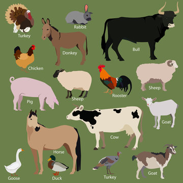 Set Of Farm Animals Icons. Flat Style Design.