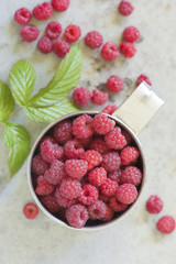 Forest raspberry in  the metal cup with leaf