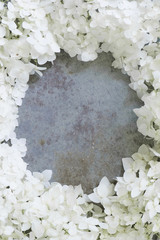Vintage frame of Hydrangea flowers