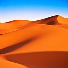 Sahara Desert