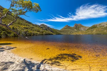 Peel and stick wall murals Cradle Mountain Cradle Mountain Lake Dove