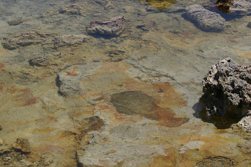Obraz premium Mono Lake Salt Water
