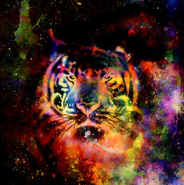  tiger collage on color abstract  background,  rust structure