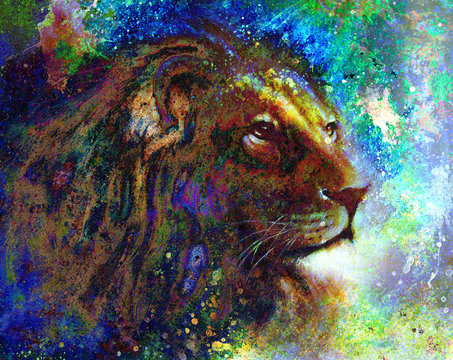 lion  collage on color abstract  background,  rust structure