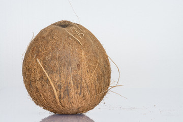 Kokosnuss