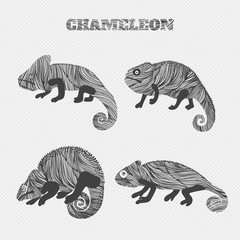 chameleon set collection. Stickers, posters, background. Vector illustration