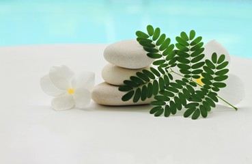 white frangipani flower, pebbles, tropical plant, white background turquoise water, soft airy focus,tranquil vacation scene