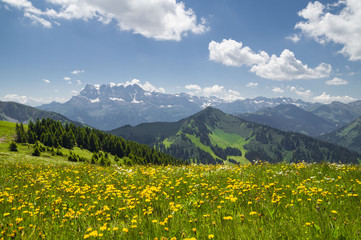 Beautiful summer landscape with flowers and blue sky in the French Alps ,Rhone - Alpes region