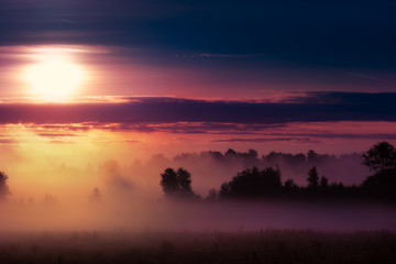 Fototapeta na wymiar Picturesque misty sunrise landscape. Foggy morning meadow,