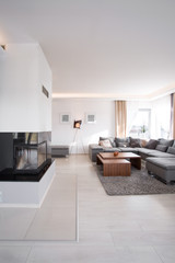 Room with modern fireplace