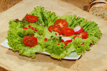 Salatteller mit Radieschen und Tomaten