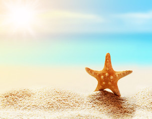 Fototapeta na wymiar Starfish on the tropical summer beach at ocean background