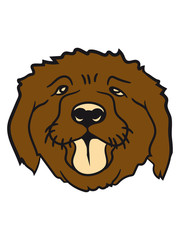 cute small dog face design