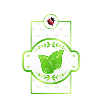 Natural eco label with green leaves for packing product