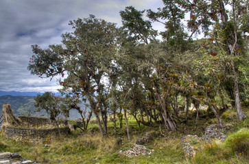 The ruins of Kuelap near Chachapoyas, Peru
