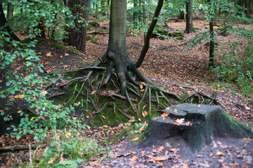 Landschaften im Herbst