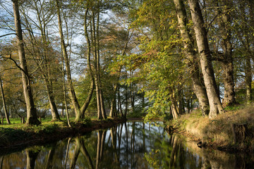 Landschaften im Herbst