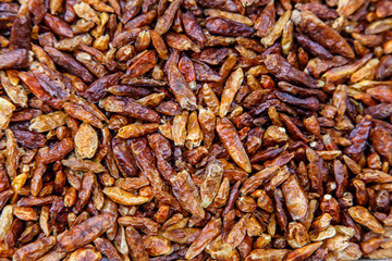 Organic Spicy Red Pepper Flakes used for cooking