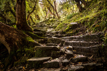 Naklejka premium Stone stairway