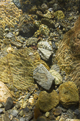 Mountain stream - stones